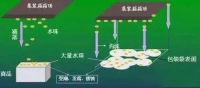 集裝箱里進水,誰的錯?如何預防應對?